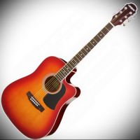 ARIA AWN-15CE GS