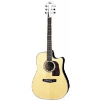 ARIA AD-20CE