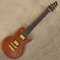 Aria PE-TR-1G